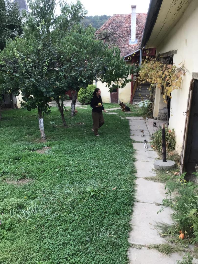 Casa Arthur Richis Riomfalva Kültér fotó