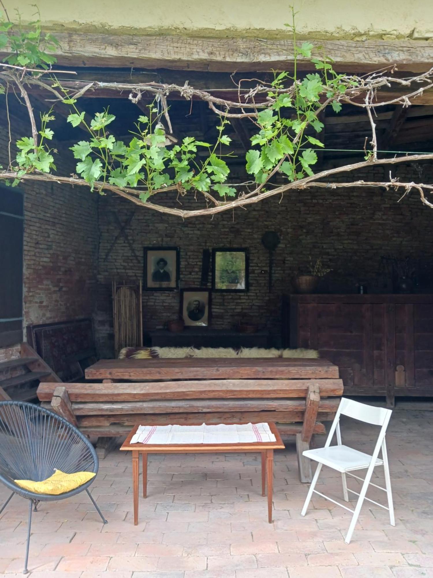 Casa Arthur Richis Riomfalva Kültér fotó