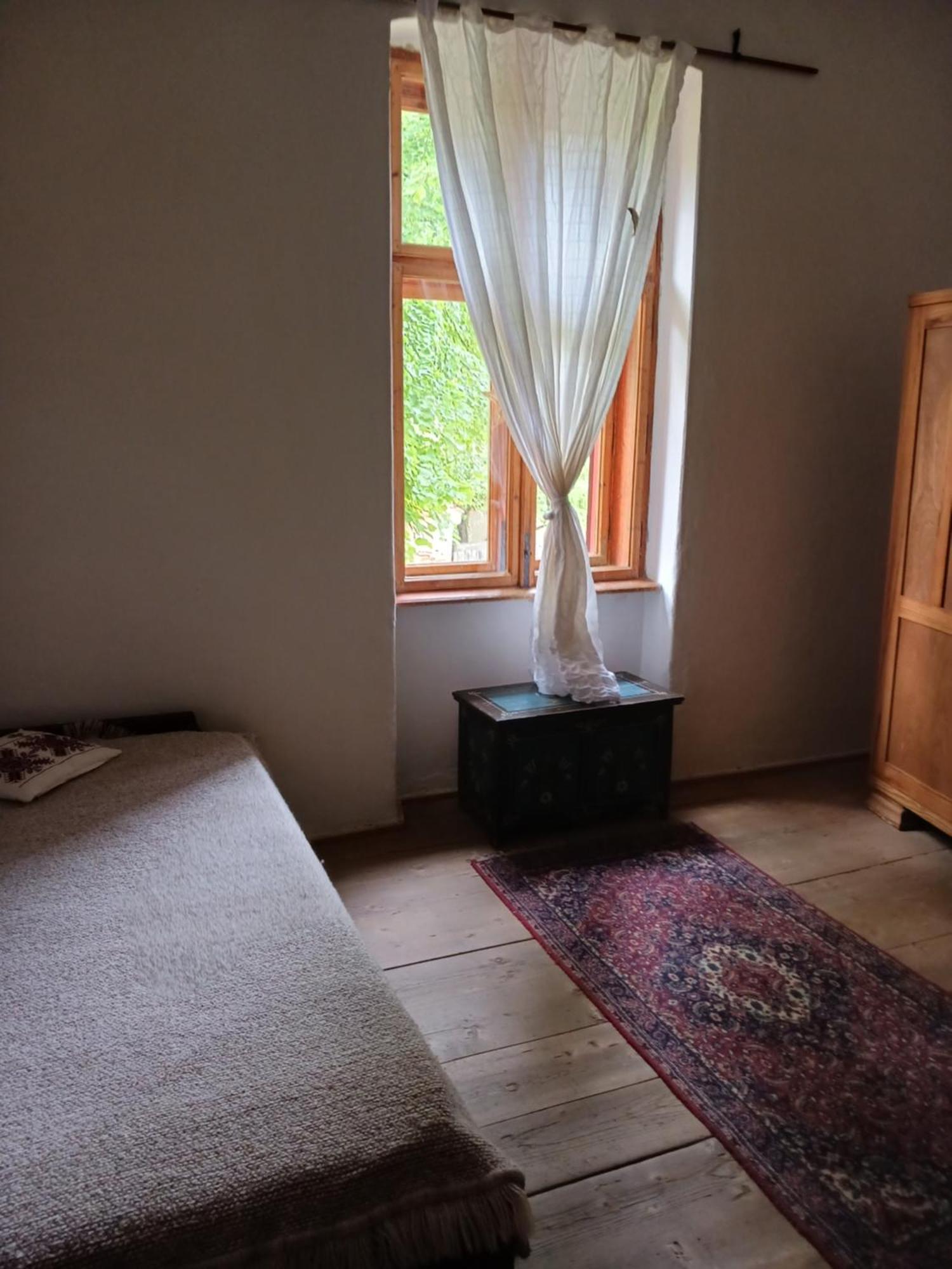Casa Arthur Richis Riomfalva Kültér fotó
